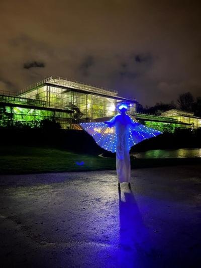 Steltenloper met lichtgevende vleugels bij nacht