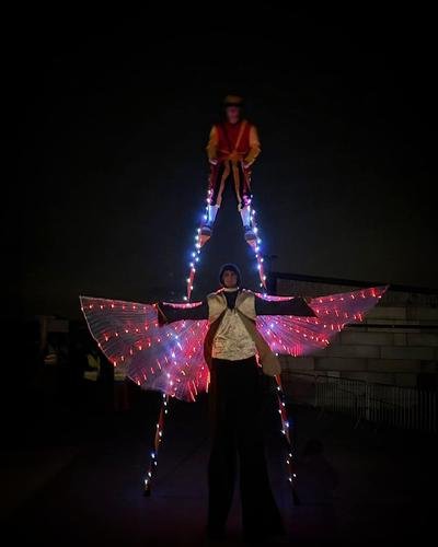 Steltenloper met lichtgevende vleugels, met een tweede steltenloper erboven