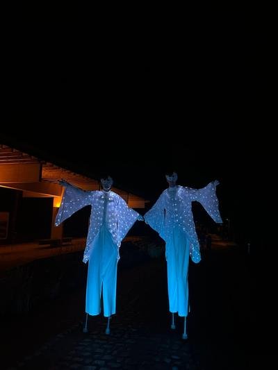 Twee steltenlopers met witte lichtvleugels in het donker